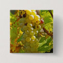 Recherche de vignoble badges Rural