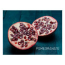 Recherche de grenades posters Fruit