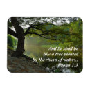 Recherche de psaumes magnets Christianisme