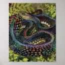 Recherche de fauna posters Wildlife