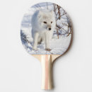 Recherche de faune raquettes ping pong Renard