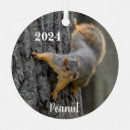 Recherche de renard ornements Faune