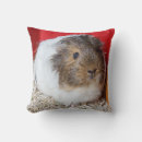 Recherche de de porc coussins Gris