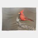 Recherche de ornithologie cuisine linges Ornithologue