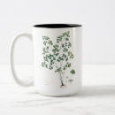 Recherche de fougère tasses Illustration botanique