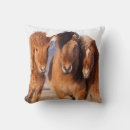 Recherche de islandais coussins Ferme