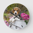Recherche de beagle horloges Cute