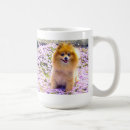 Recherche de pomeranian tasses Animaux domestiques