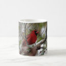 Recherche de bec maison deco Animal