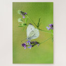 Recherche de veine puzzles Animal