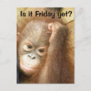 Recherche de travail drôle cartes postales Mignon