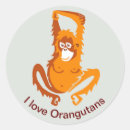Recherche de orangs outans autocollants Orang outan