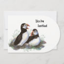 Recherche de bouffon invitations Animal