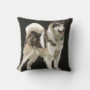 Recherche de husky coussins Sibérien