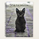 Recherche de amour de chat bureau fournitures Anniversaire