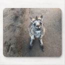 Recherche de joey tapis souris Kangourou