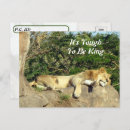 Recherche de roi lion cartes postales Chat