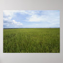 Recherche de growth posters Horizontal