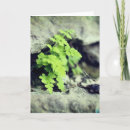 Recherche de roches toutes vœux cartes Toutes les occasions