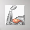 Recherche de tridimensionnel art Soins de santé