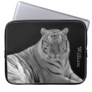 Recherche de mis en danger coques Tigre