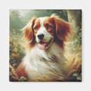 Recherche de bretonne magnets Dog