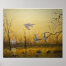 Recherche de chasse de canard posters Toute personne