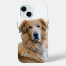Recherche de image de golden retriever Dog