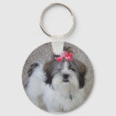 Recherche de apso porteclés Chiot