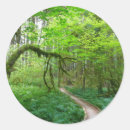 Recherche de bosquet autocollants Forêt