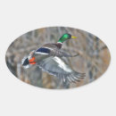 Recherche de drake autocollants Canards