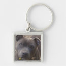 Recherche de staffy porteclés Le staffordshire