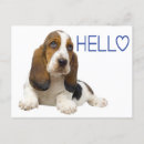 Recherche de chien basset hound cartes postales Chiot