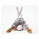 Recherche de lapin mignon posters Chambre d'enfants