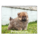 Recherche de calendriers Chiot