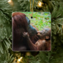 Recherche de orang outan ornements Jungle