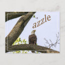 Recherche de conception faite sur commande de cartes postales Pour tous