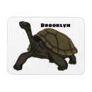 Recherche de tortue magnets Équateur
