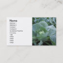 Recherche de choux cartes visite Agriculture