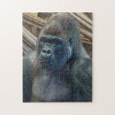 Recherche de gorilla puzzles Zoo