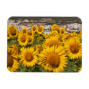 Recherche de cadix magnets Europe