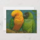 Recherche de affection cartes postales Perroquets