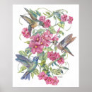 Recherche de de colibri art Rose