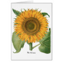 Recherche de horticulture vœux cartes Botanique