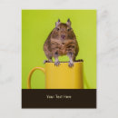 Recherche de robinson posters Animaux