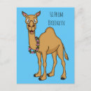 Recherche de dromadaire cartes postales Drôle
