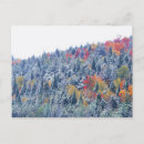 Recherche de automne de neige Pittoresque