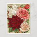 Recherche de rose rouge vintage cartes postales Pour eux