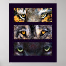 Recherche de yeux de loup posters Chien