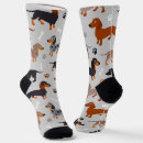 Recherche de dachshund socks Chien